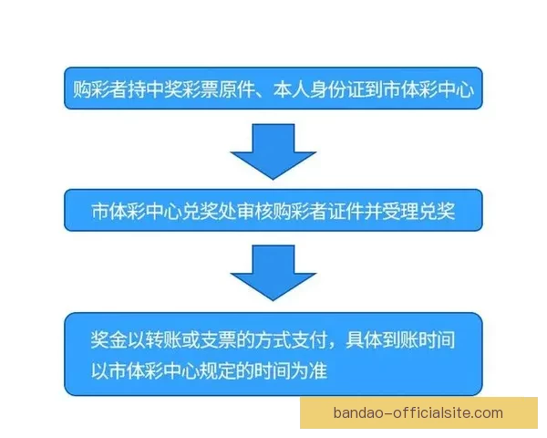 美洲三国世界杯比赛投注指南与最新赔率解析