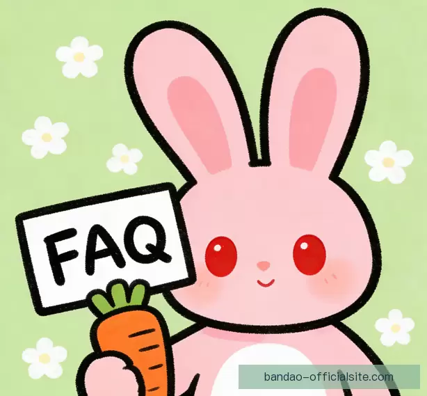 常见问题